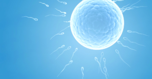 An absence of ovulation is a common PCOS question - fertility