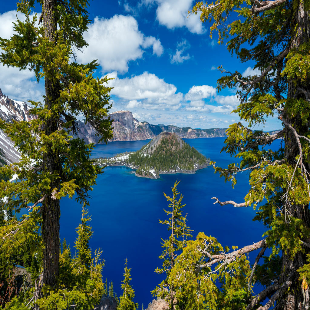 online doctor in oregon