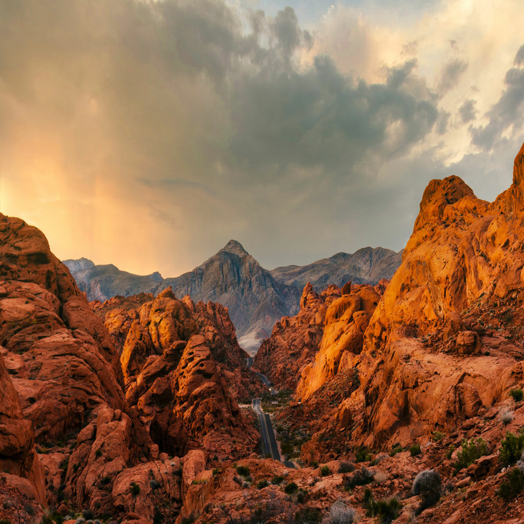 online doctor in nevada