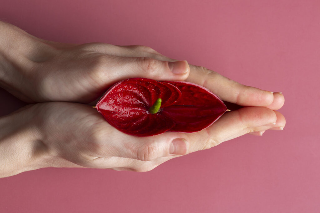 Vulvar Ulcers treatment