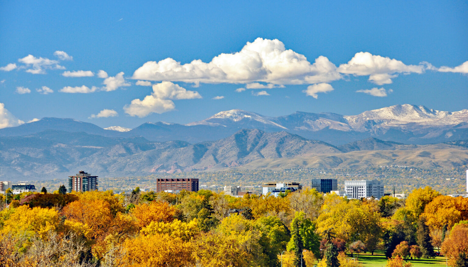Colorado-online-doctor