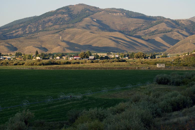 idaho-online-doctor