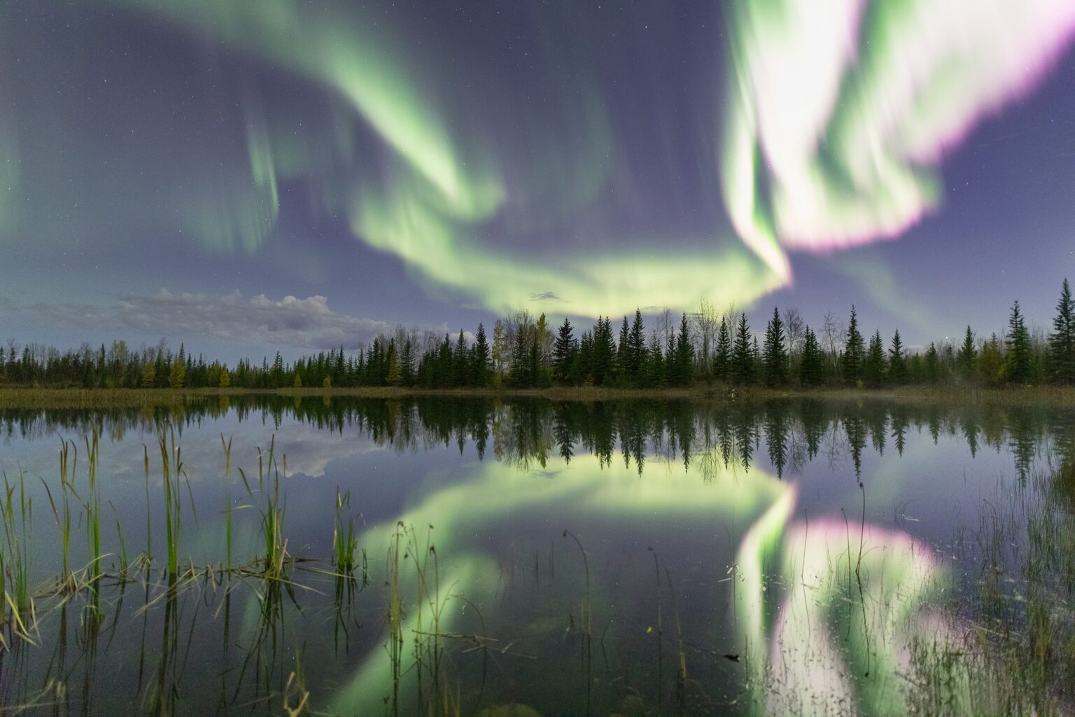 online doctor Northwest Territories